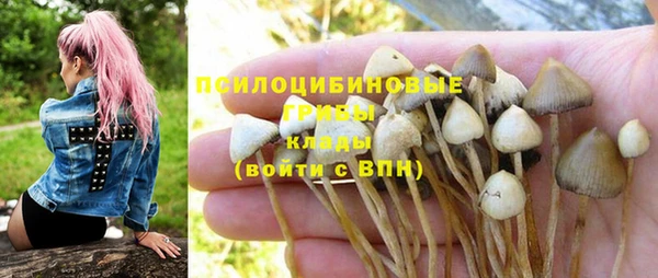 MESCALINE Михайловка