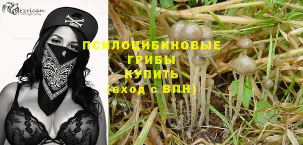 прущие крисы Михайловск